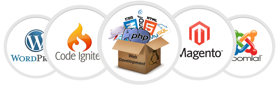 service-cat-333412082-web_development